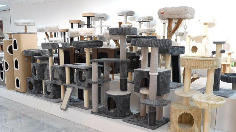 The demand for innovative cat furniture is growing.